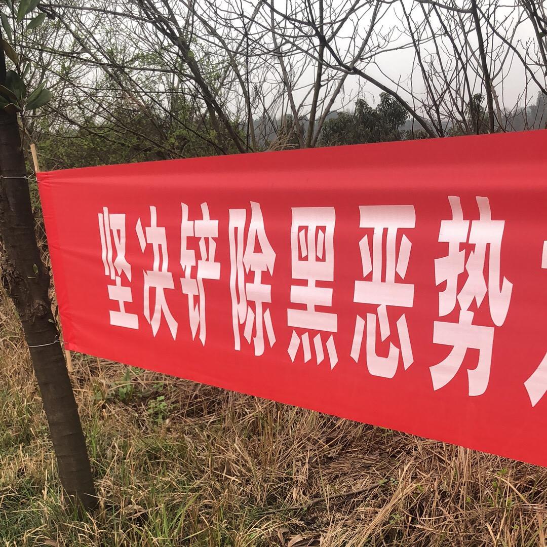 匿名上网