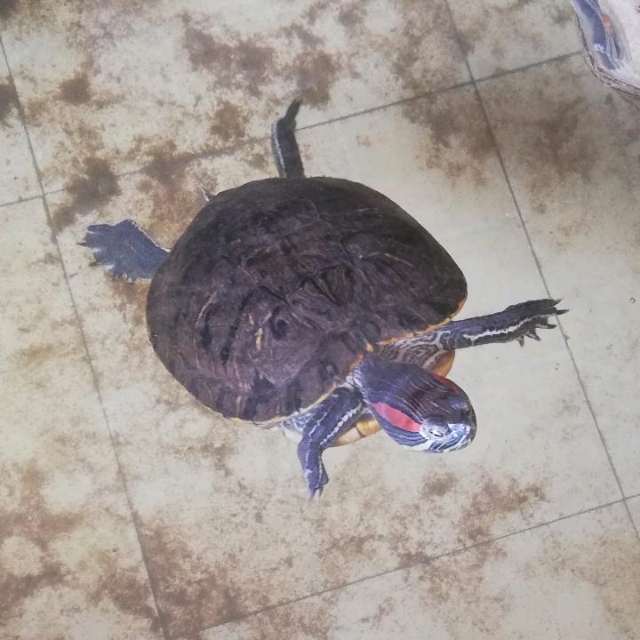 相约渡慈航