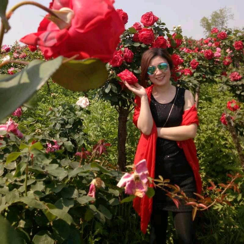 应城涛霞时尚女装(光明大市场)