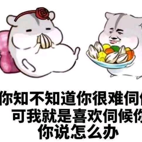 零度 超哥