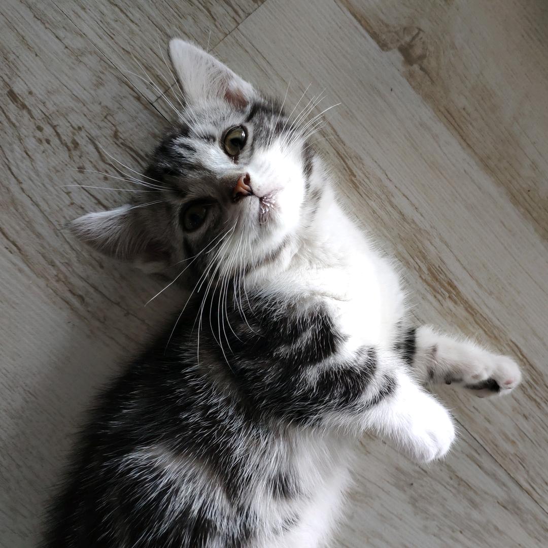 先生之风，山高水长✨