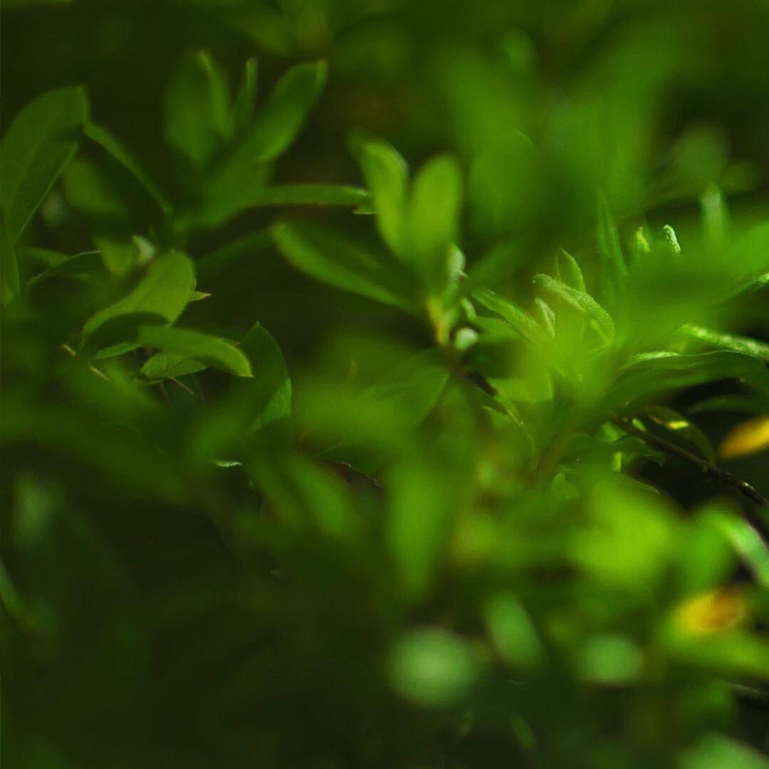 在你三百米之外