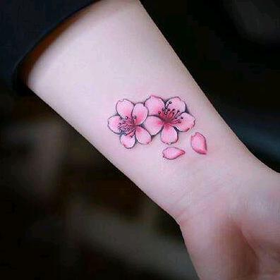 【月光下的凤尾竹】