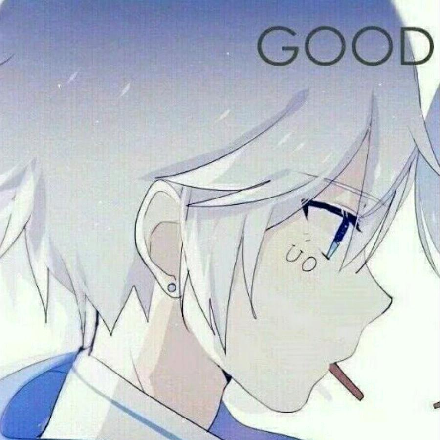 忆念（三角洲 )