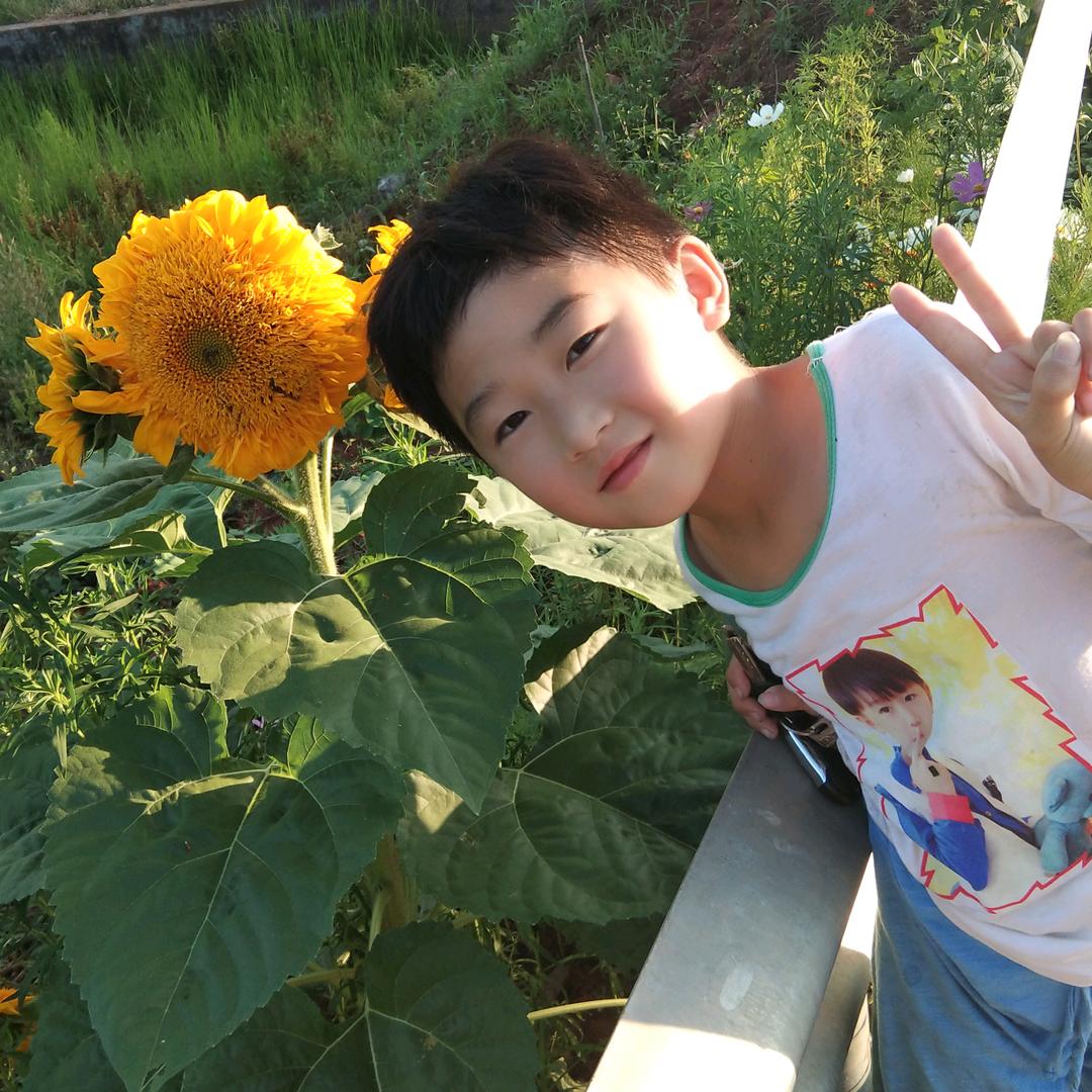🌹随心💖所遇💫