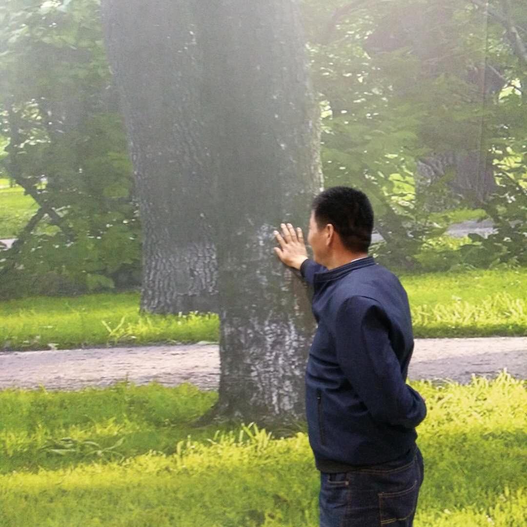 用户8573127123112天梦