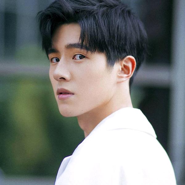 小猪猪笨笨熊（伤感情歌）🤝欢迎👏