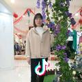 菊