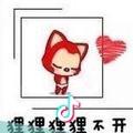 狸不开