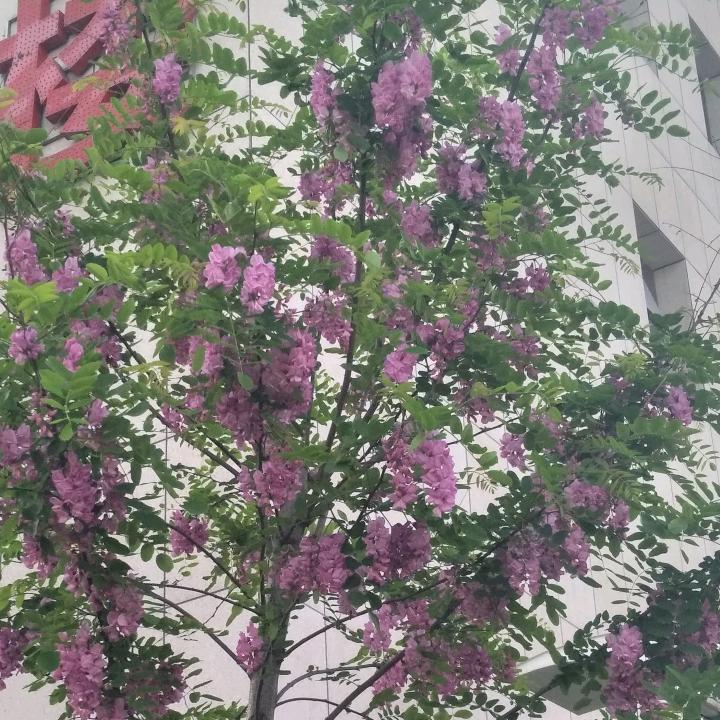缘来