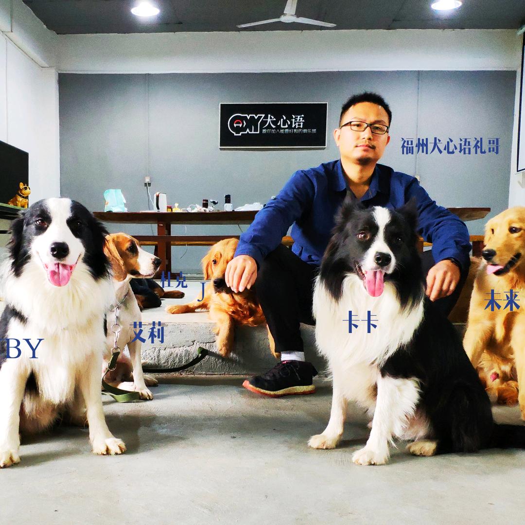 犬心语CKU福州服务中心(训练,美容)