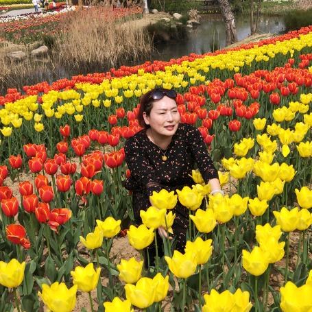 雾里看花（美食分享）