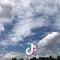 老七和小黑黑