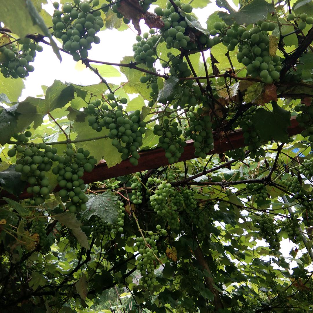 对你微笑纯属礼貌