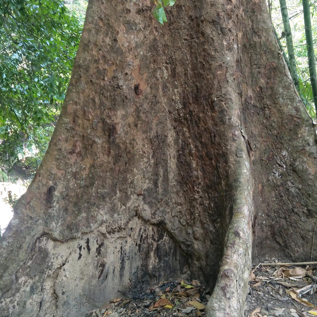 指尖徘徊の烟草味