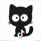 沙发上的猫