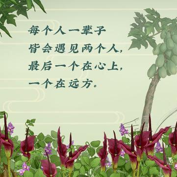 奶布丁