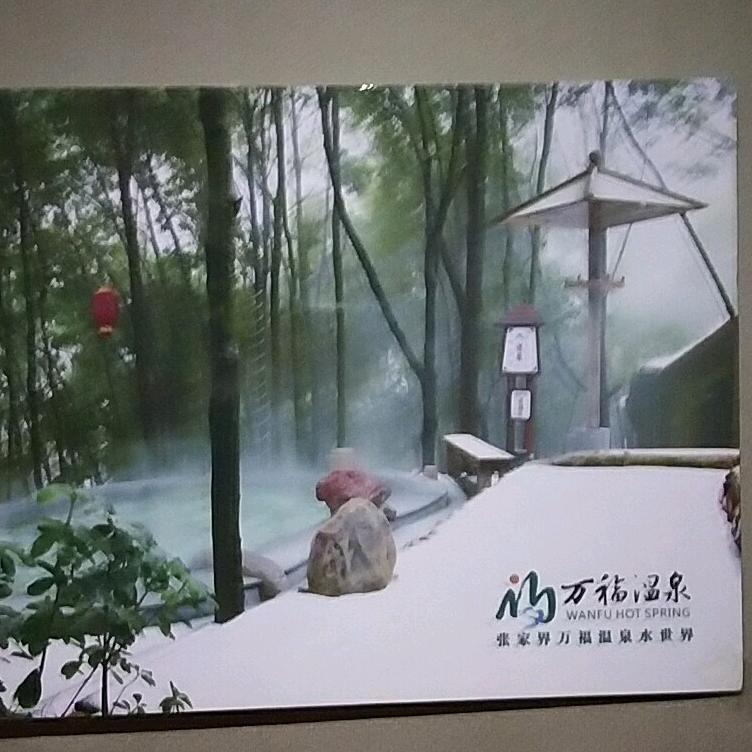 万福温泉——宏哥