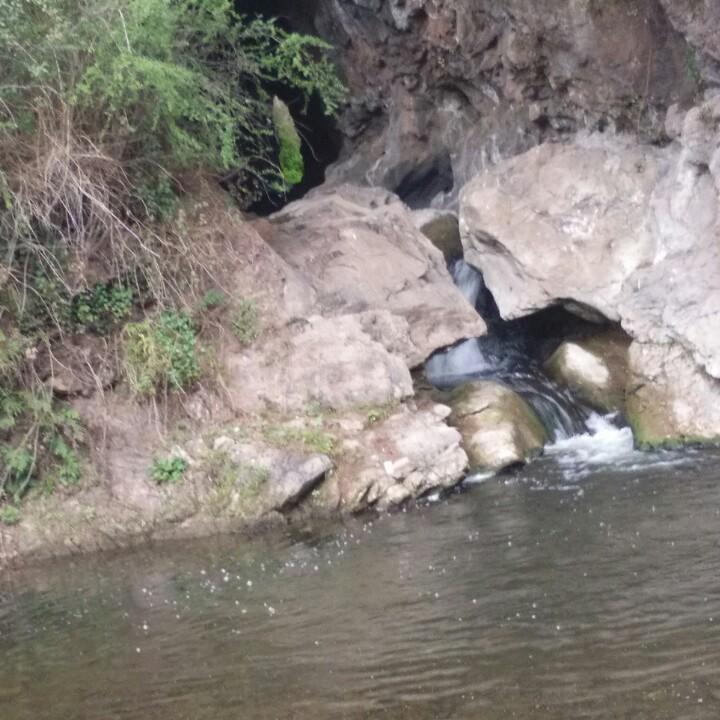 情缘