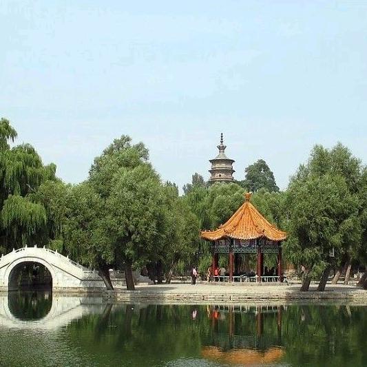 想你