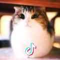 暗夜