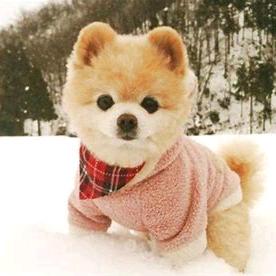 每天学一点（与君共勉）