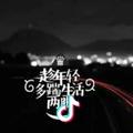南飞的燕