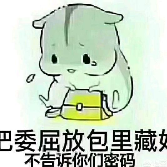 燕子姐🧚‍♀️