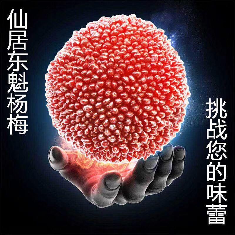 魔兽玖月（仙居杨梅）
