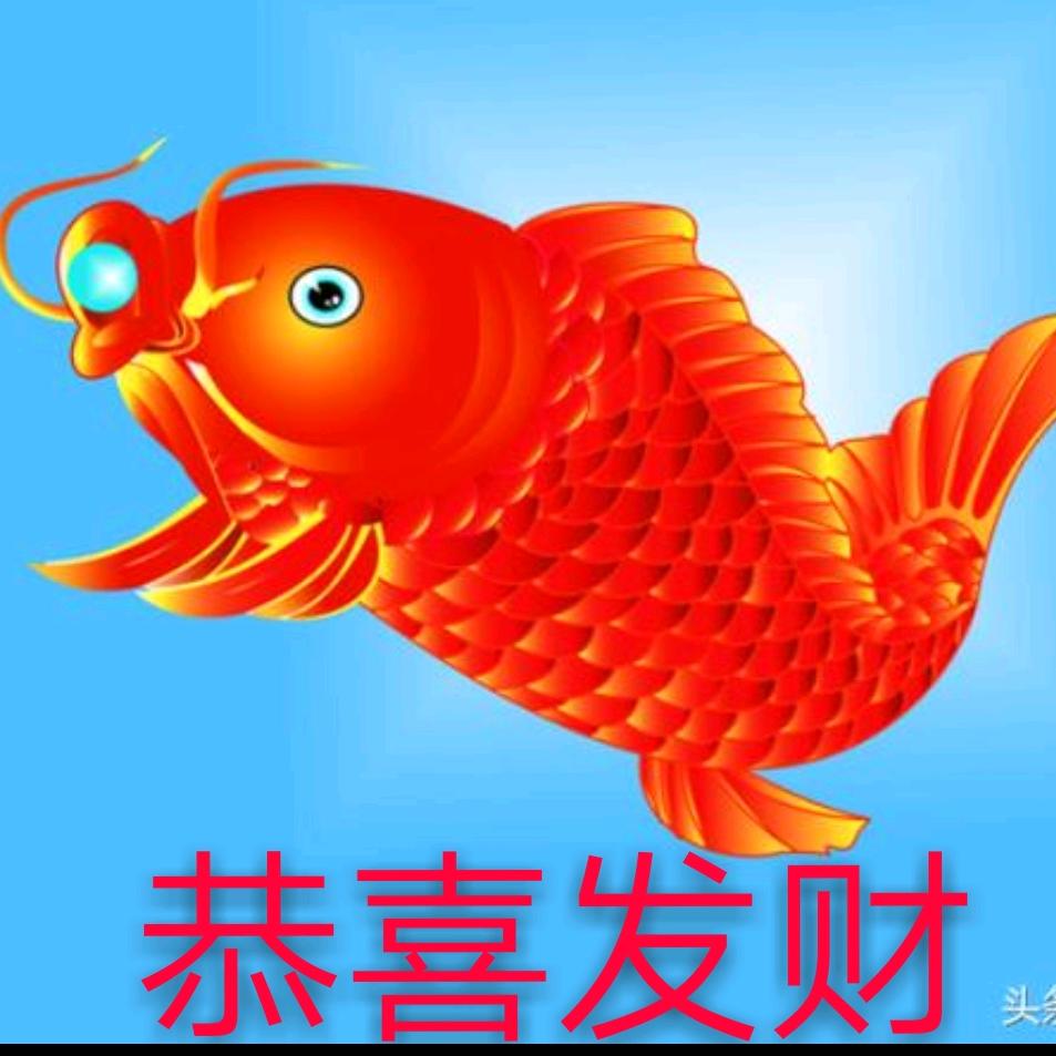 AAA鑫润
