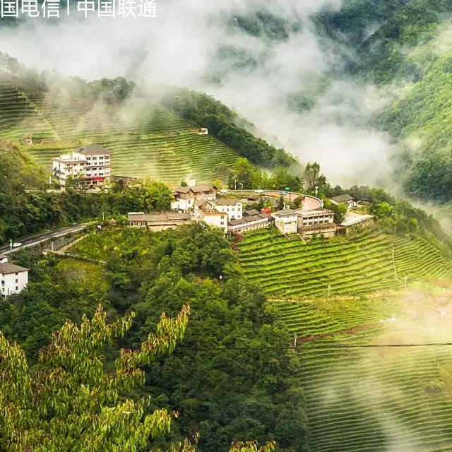 我命由已不由天