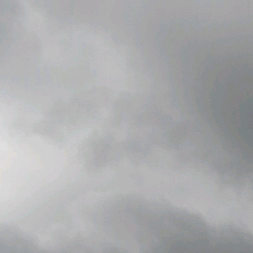 任平生