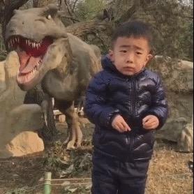 一往无前喵山行