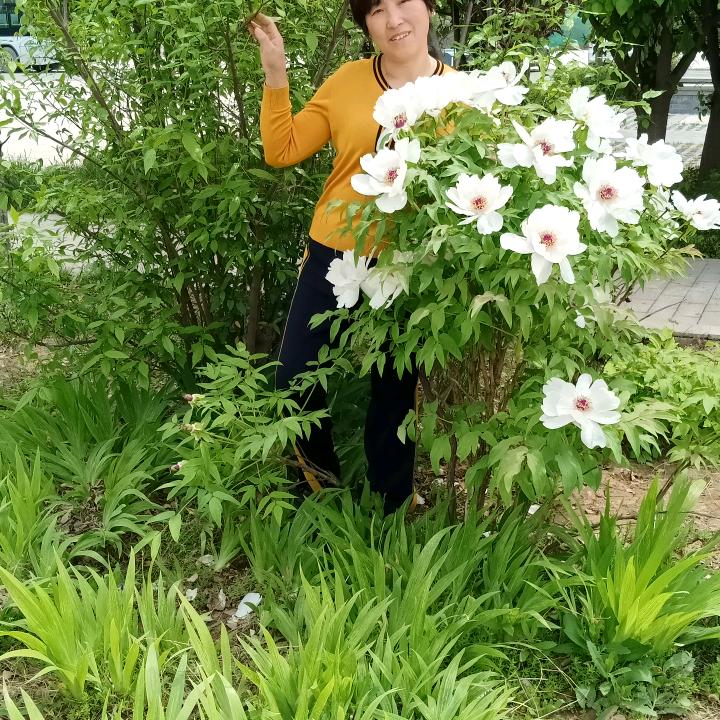 用户1734370556114静心