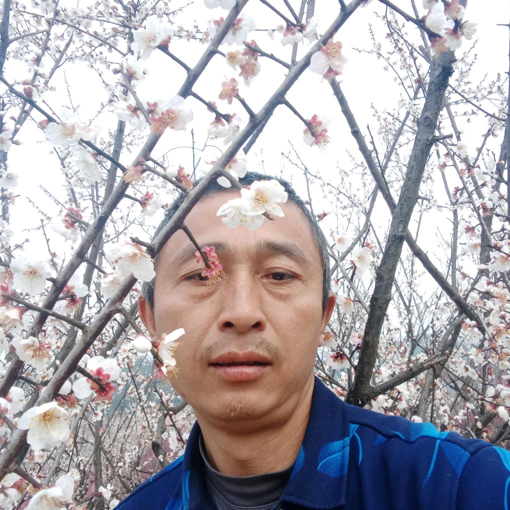 黄有平