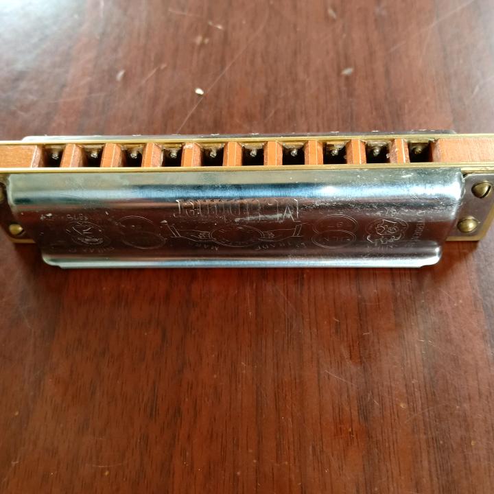 涛涛
