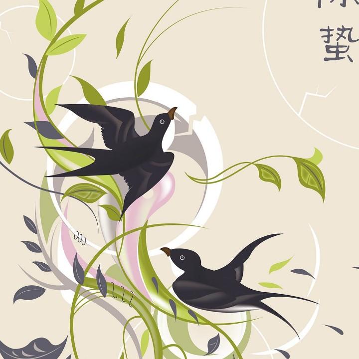 我是黄山