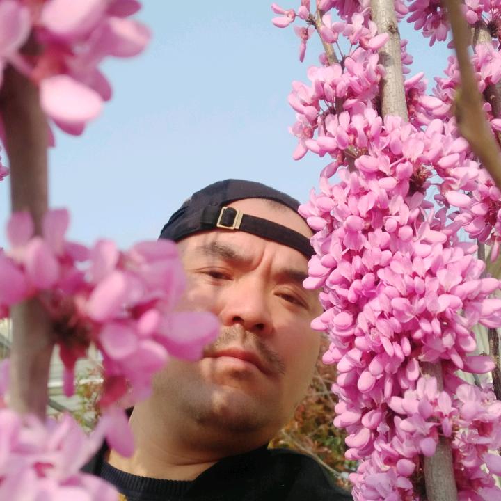 草上飞