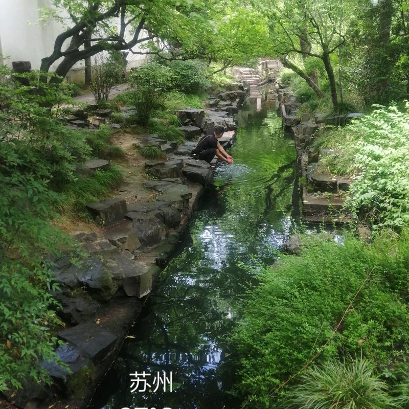 博达