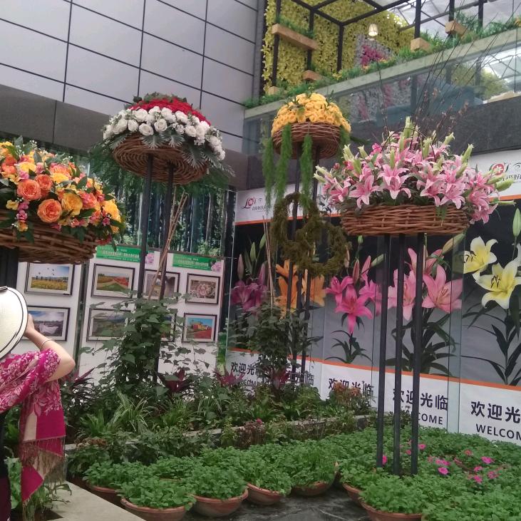 绿玉