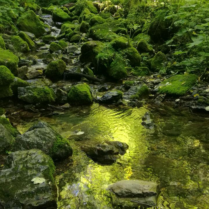 苗永灿
