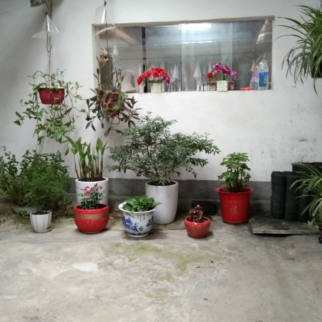 李总