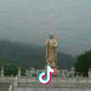 小卢