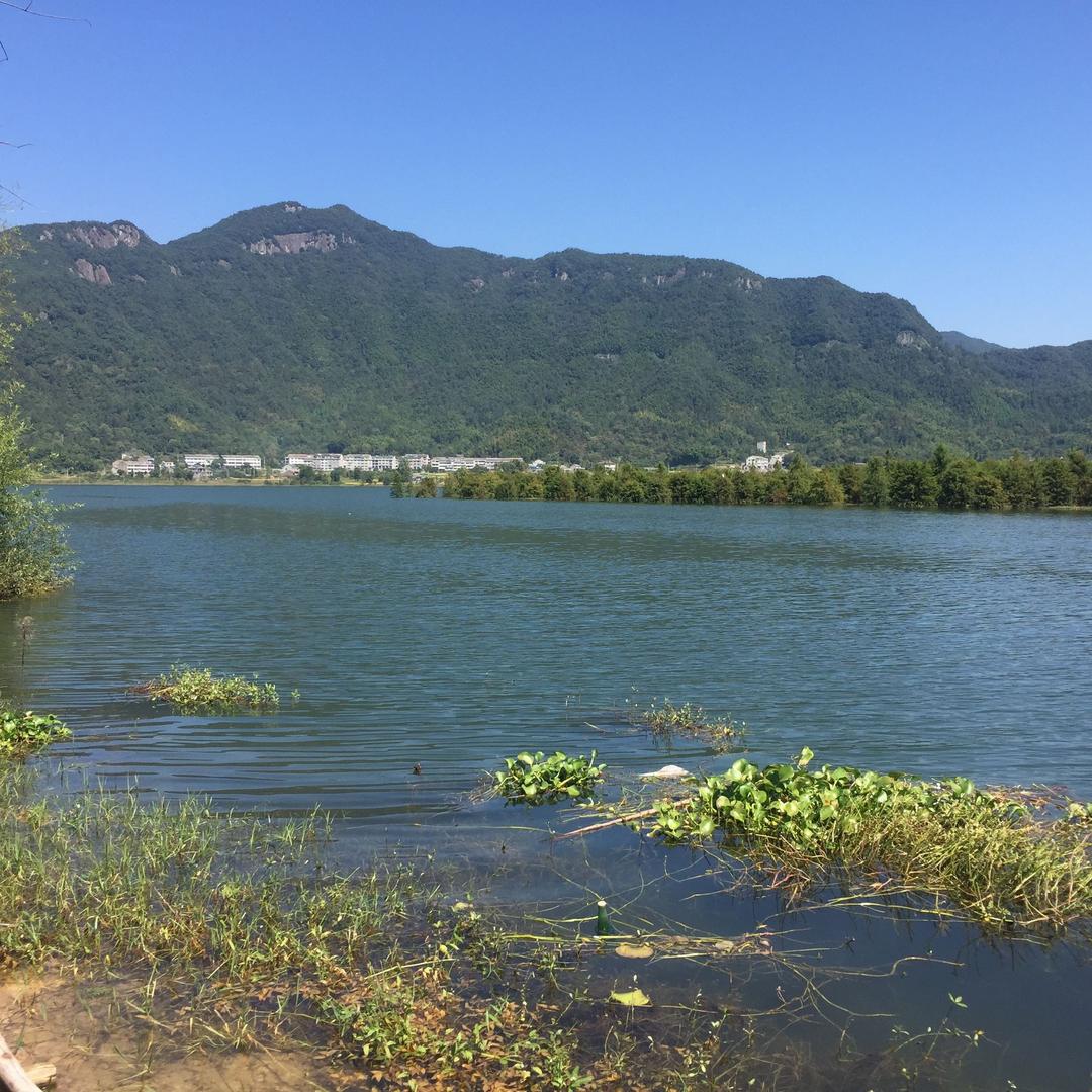 水木元