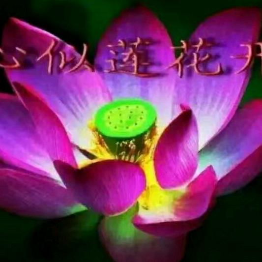 展翅飞翔