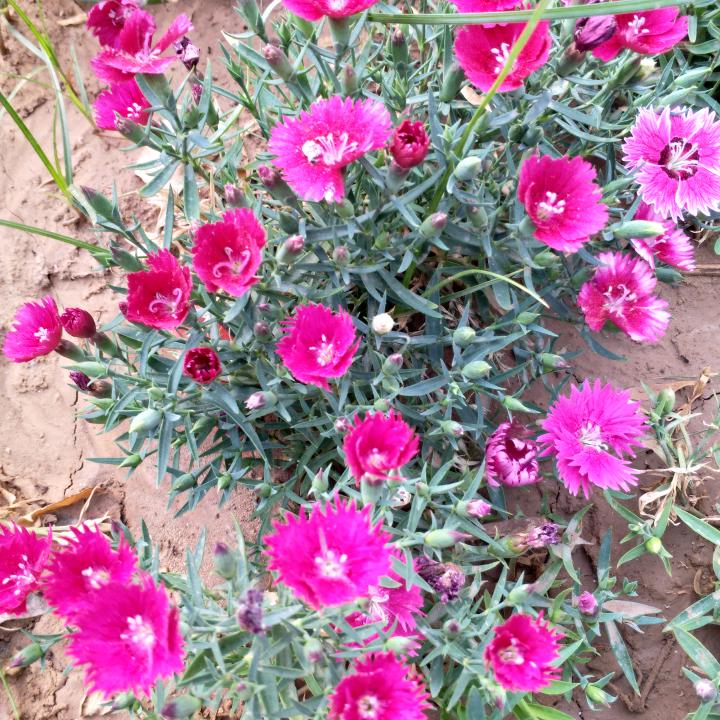 幸福的回忆（拒私聊）。