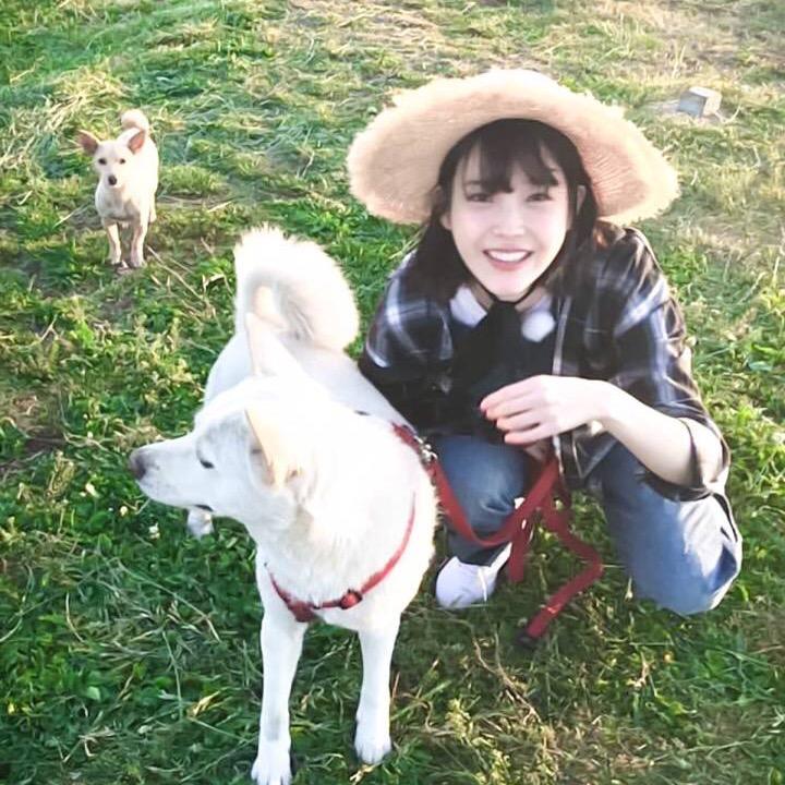 ❤️ Sunflower🌻