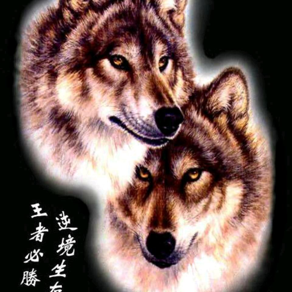 🔯悲喜自渡✡️