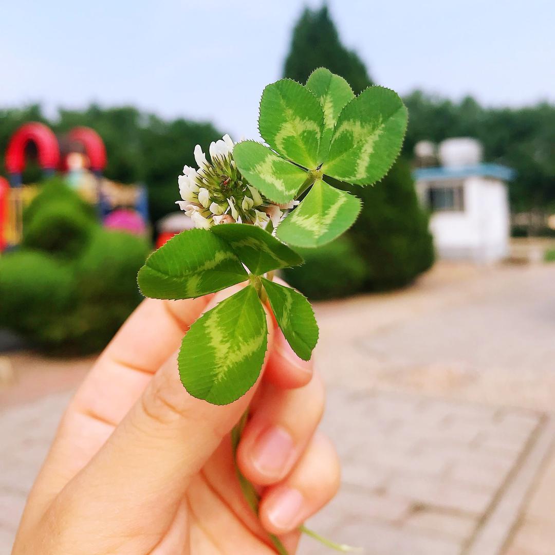 又见晴天✨