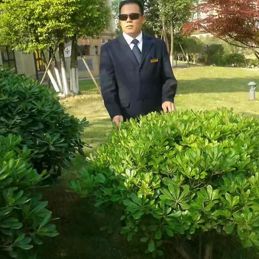明天又相见